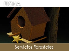 Servicios Forestales