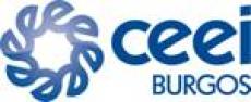 Sistemas de gesti�n de Clientes. CEEI Burgos