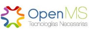 logo open ms