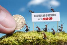 reducci�n costes