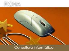 Consultora inform�tica 