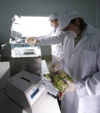Sector Agroalimentario