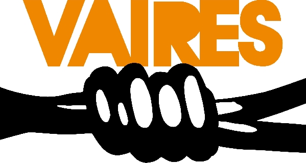 vaires logo