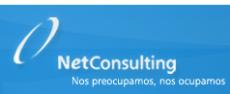 logo Net Consulting