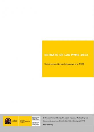 Retrato de las Pymes 2013