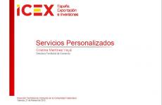 Programas de Apoyo a la Internacionalizaci�n de las Empresas 