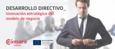 Conferencia: Innovaci�n estrat�gica del modelo de negocio