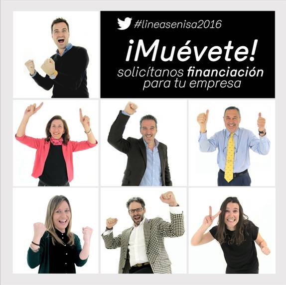 Lineas ENISA 2016