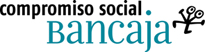Fundaci�n Bancaja