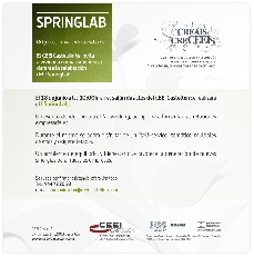 SpringLab I
