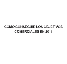Plan de Ventas 2011: Hechos, propuestas y acci�n