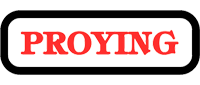 Proying XXI Ingenieria S.L.