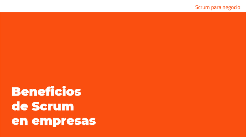 Ampliar imagen