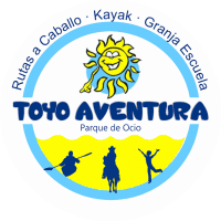 Toyo Aventura SL