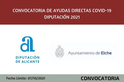 Convocatoria de ayudas directas Covid-19 Diputacin 2021