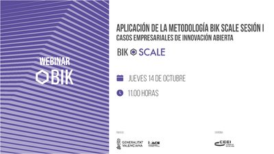 Webinar BIK: Aplicación de la metodología BIK Scale. Sesión 1