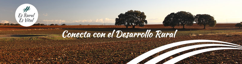 Jornada