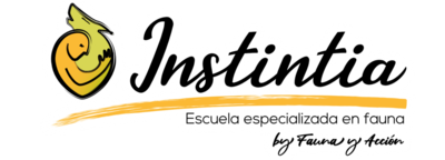 Instintia