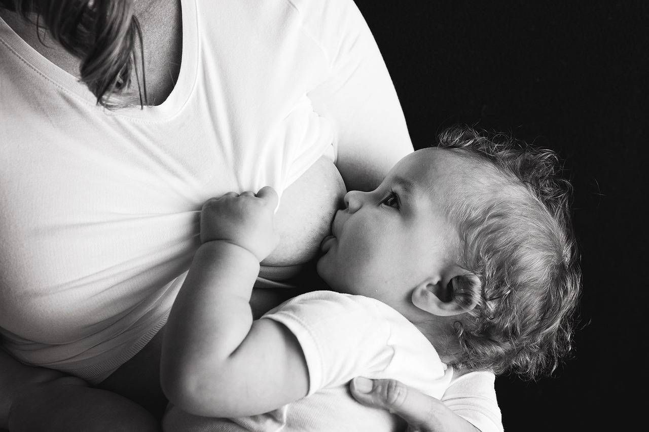 Alimentaci�n del beb� el primer a�o de vida