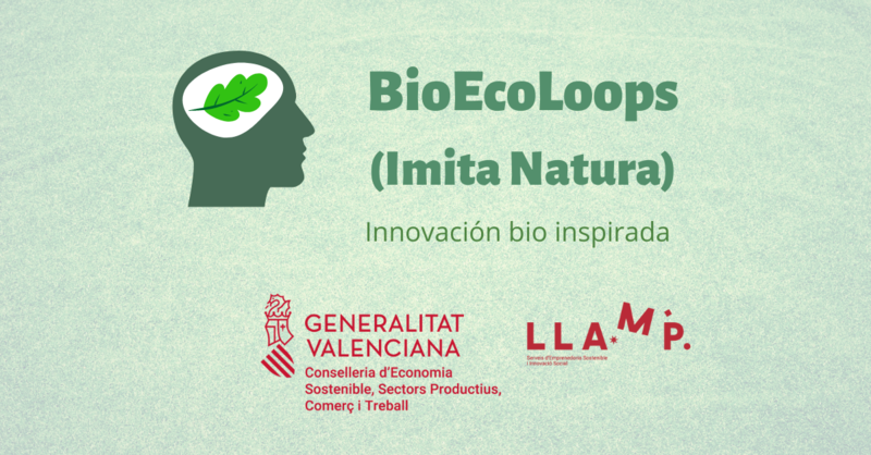 Logo BioEcoLoops 