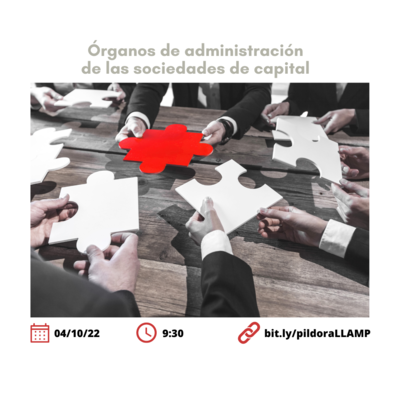 �rganos de administraci�n de las sociedades de capital
