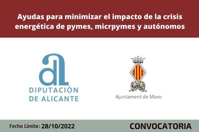 Ayudas pymes y autnomos de Muro de Acoy