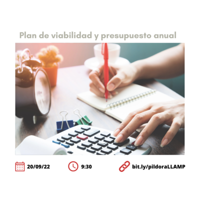 PLAN VIABILIDAD