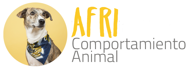 Afri Comportamiento Animal