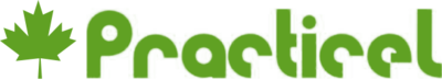 PRACTICEL SL
