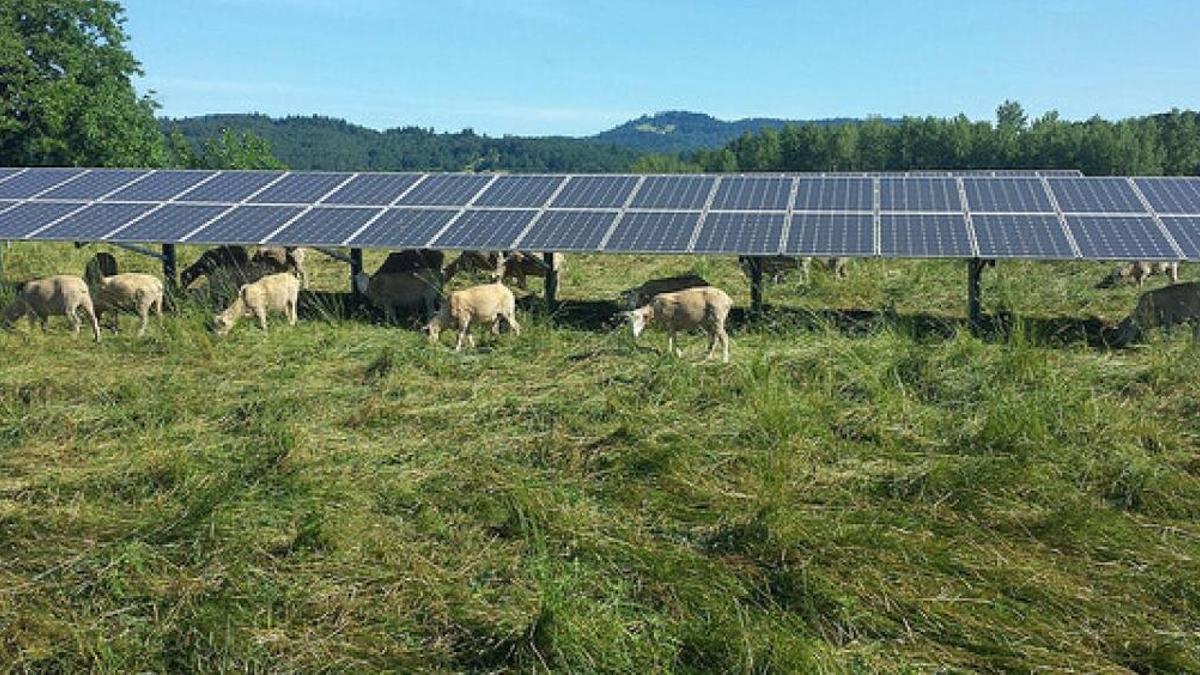 energia grovoltaica