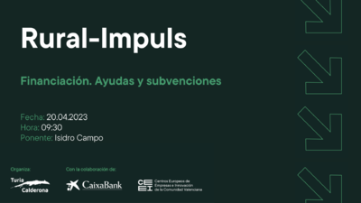 Financiación. Ayudas y subvenciones