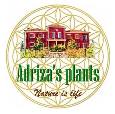 Adriza�s Plants