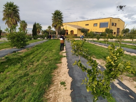 SERVICIOS AGRARIOS SINYENT SL