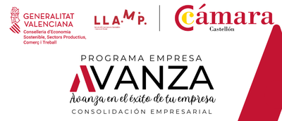 Programa Avanza Empresa: VILA-REAL