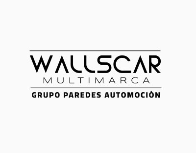 Wallscar Multimarca | Veh�culos de segunda mano y nuevos en Elche