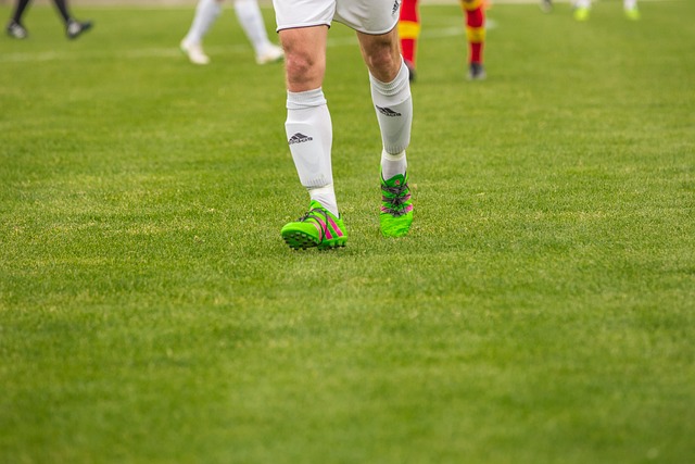 Cómo es el mantenimiento del césped artificial deportivo