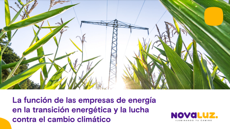 Ampliar imagen
