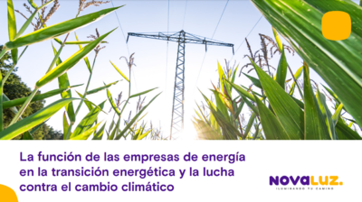 Ebook gratuito "La funcin de las empresas de energa en la transicin energtica y la lucha contra el cambio climtico"