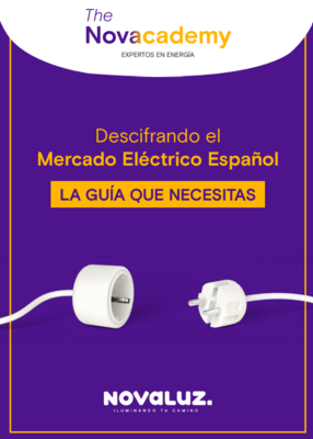 Descifrando el Mercado Elctrico Espaol