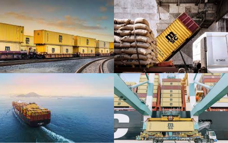 MEDITERRANEAN SHIPPING COMPANY ESPAÑA SL