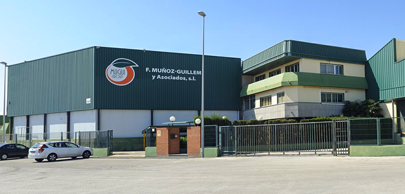 GUILLEM EXPORT SL