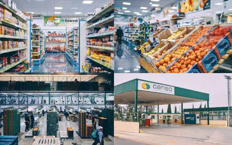 COOP AGRICOLA NTRA SE�ORA DEL ORETO COOP V