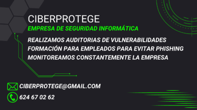 Refuerza la Seguridad cibernetica de tu Negocio: Descubre si tu empresa es vulnerable a ciberataques.