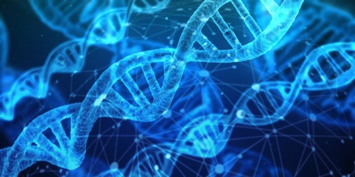 GENOCHEM WORLD