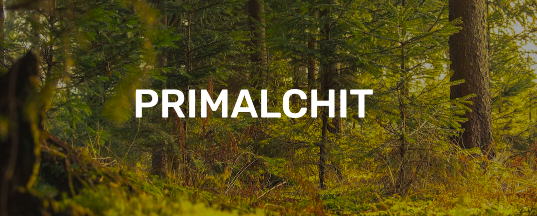 PRIMALCHIT SOLUTIONS, SOCIEDAD LIMITADA