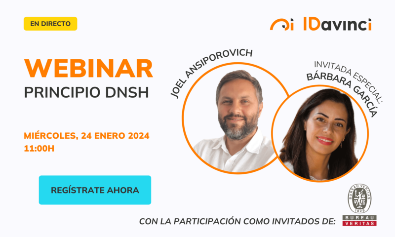Principio DNSH