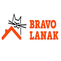 Bravo Lanak. Reparación de tejados y fontanería Bilbao