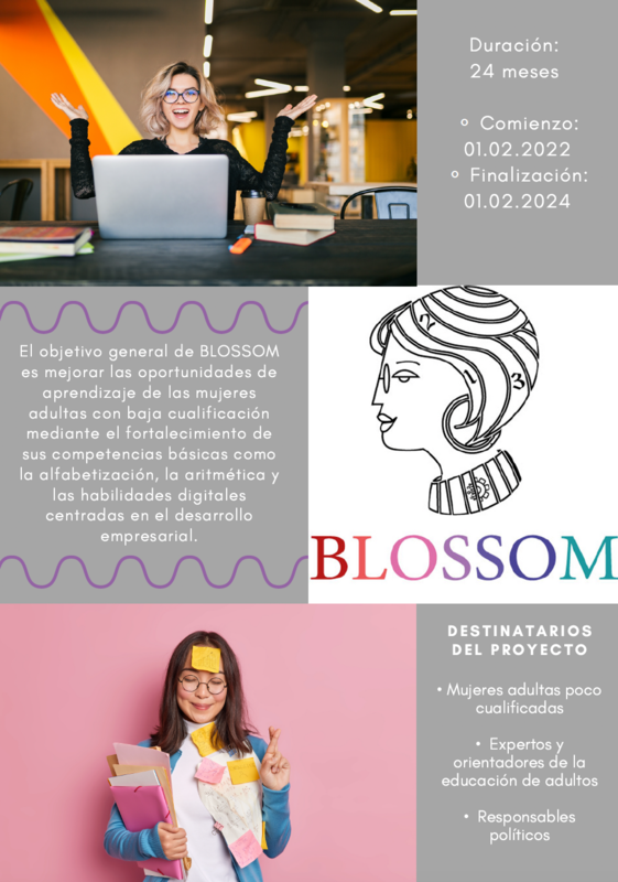 Blossom Flyer