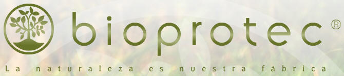 Ampliar imagen