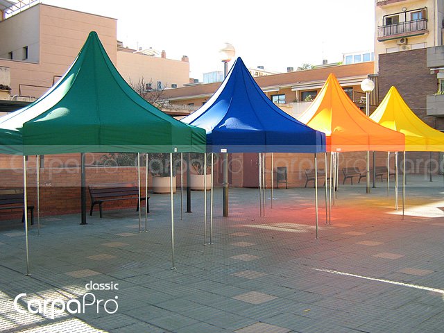 Solo Carpas